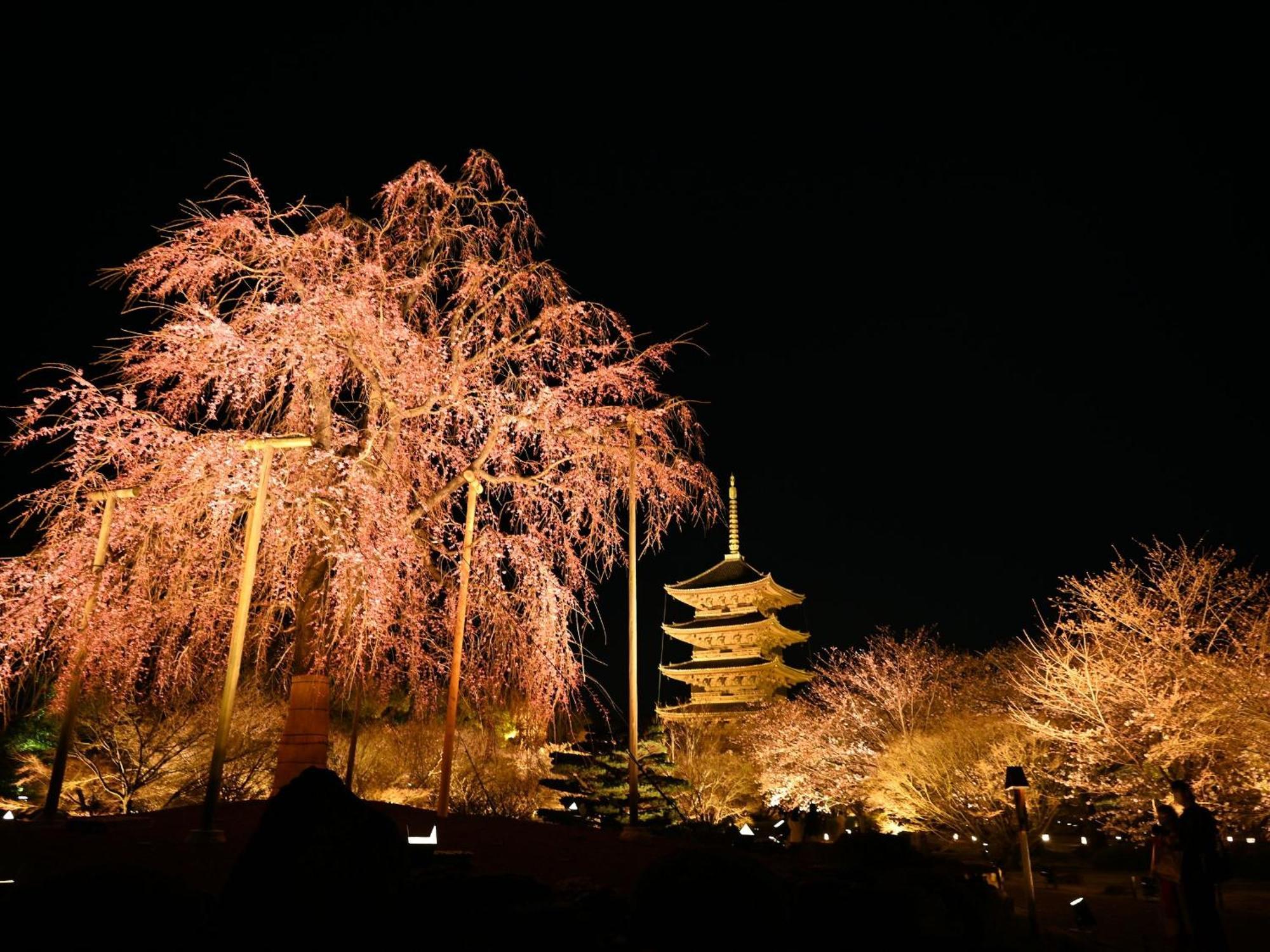 Stay Sakura Kyoto Higashi Hongan-Ji I מראה חיצוני תמונה