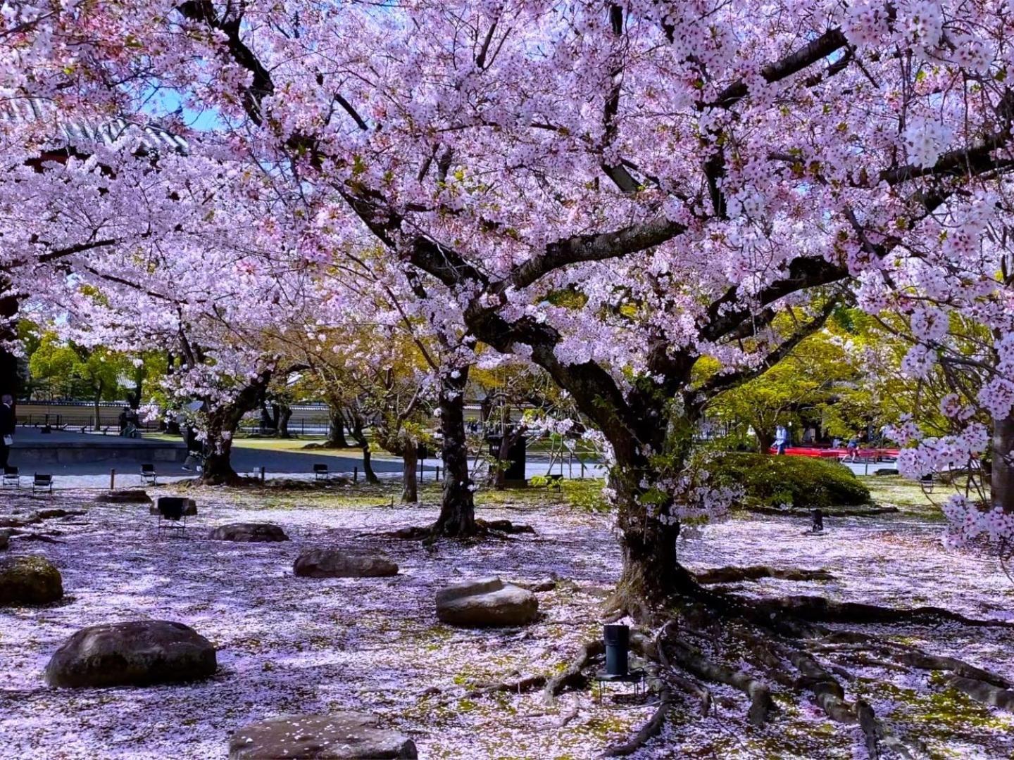 Stay Sakura Kyoto Higashi Hongan-Ji I מראה חיצוני תמונה